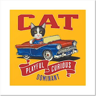 Funny cute kitty cat in a classic retro vintage car with red white and blue flags Posters and Art